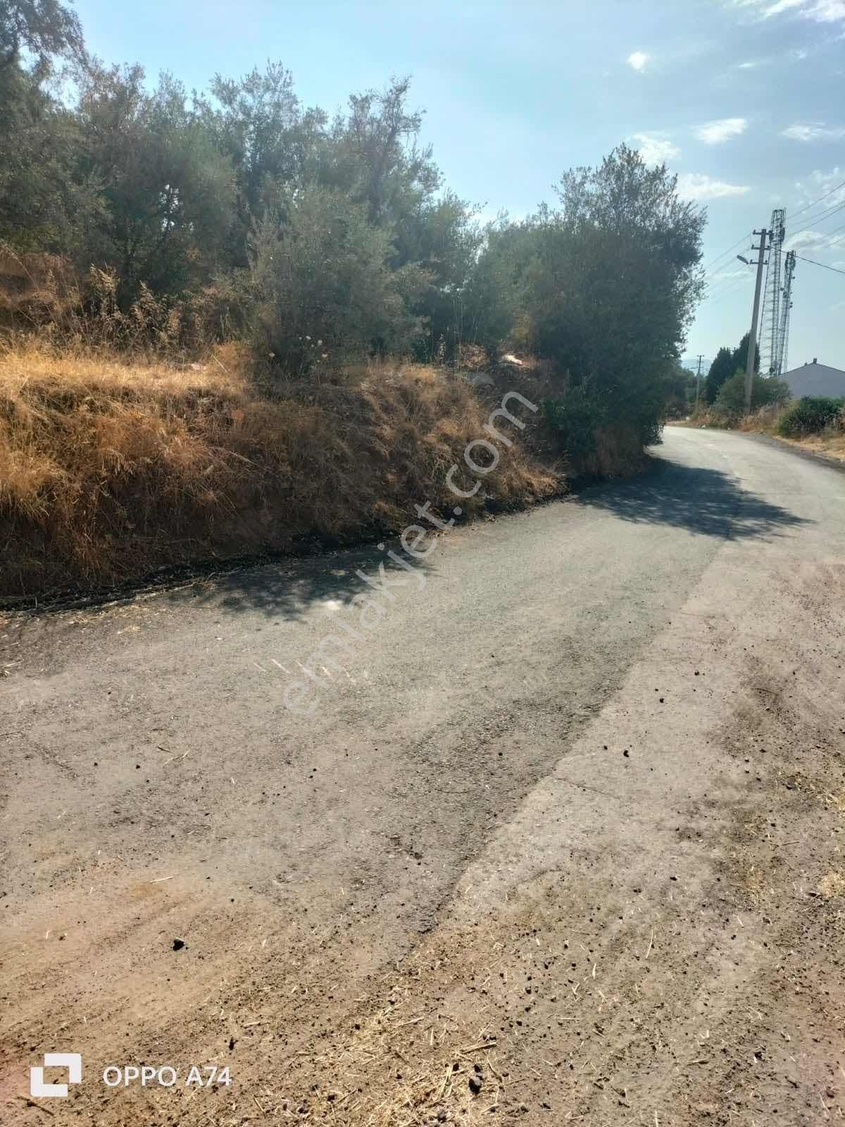 Kemalpaşa Bağyurdunda Satılık Arsa