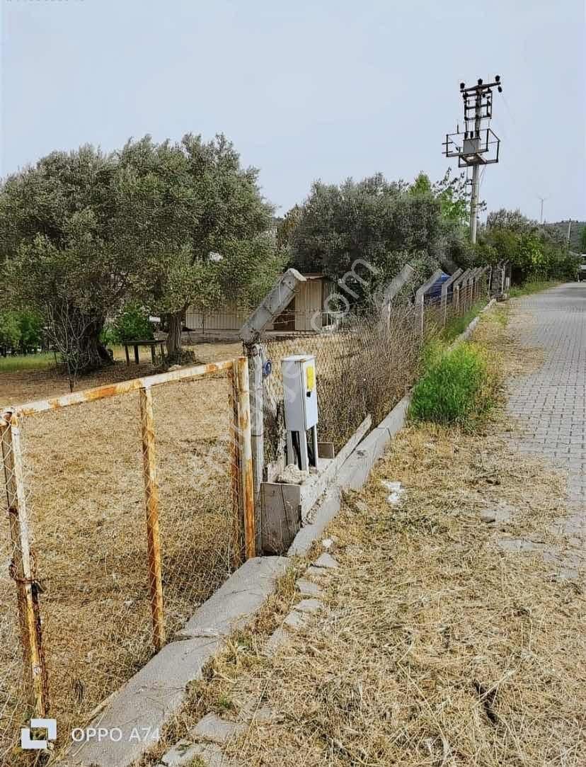 Çiçekli Köyde Villalar İçerisinde Satılık Arazi - Görsel 2