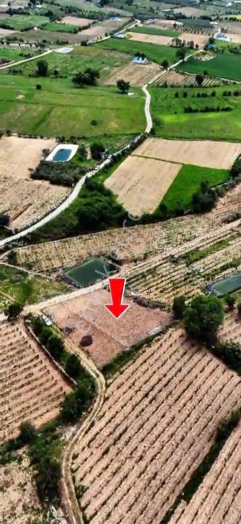 Mersin Mezitli Doğançay Satılık Arsa