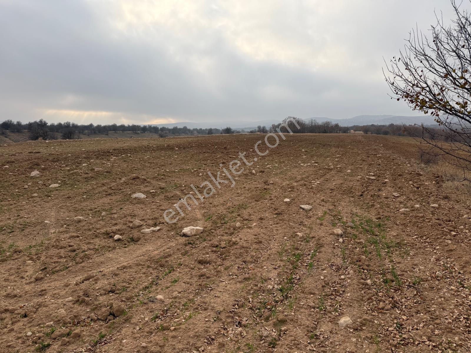 Mevsim Gayrimenkul'den Kalkantepe Satılık Yatırımlık Uygun Tarla - Görsel 3