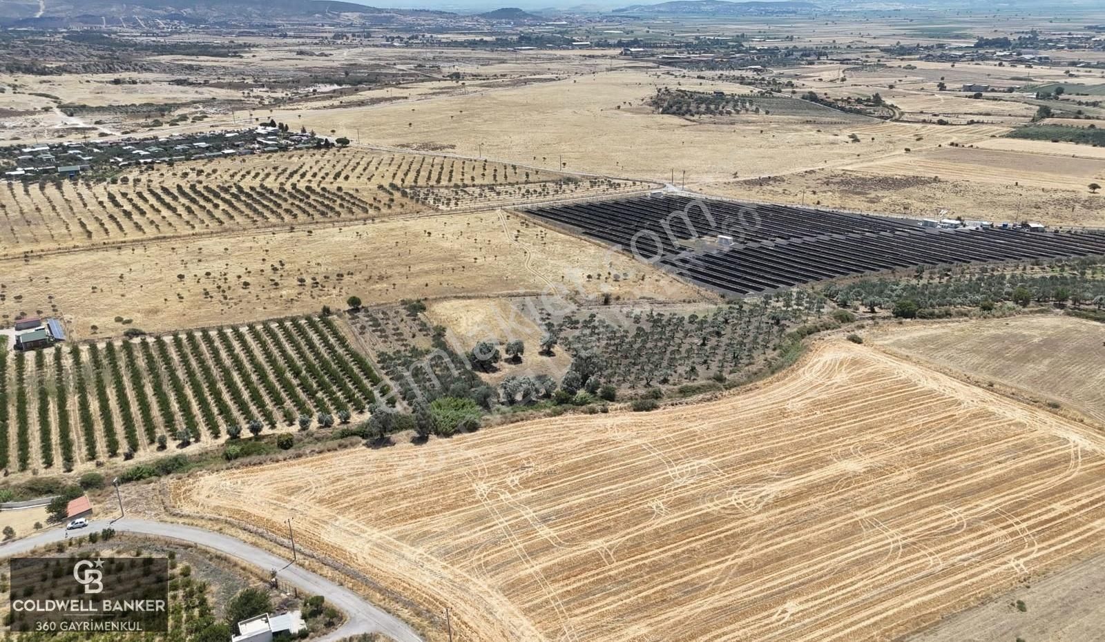 İzmir Foça Kocamehmetler Satılık Tarla - Görsel 21