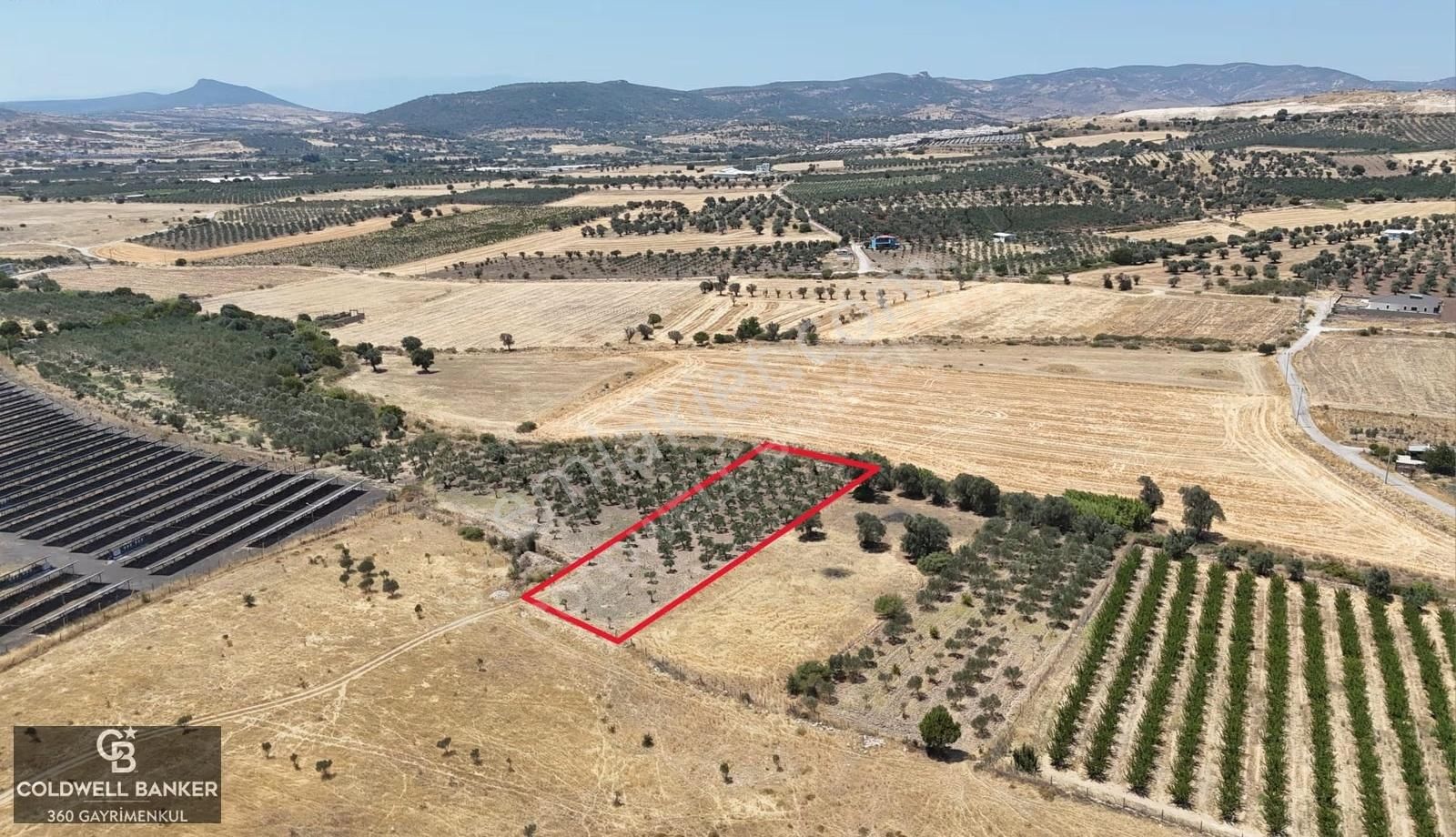 İzmir Foça Kocamehmetler Satılık Tarla - Görsel 18