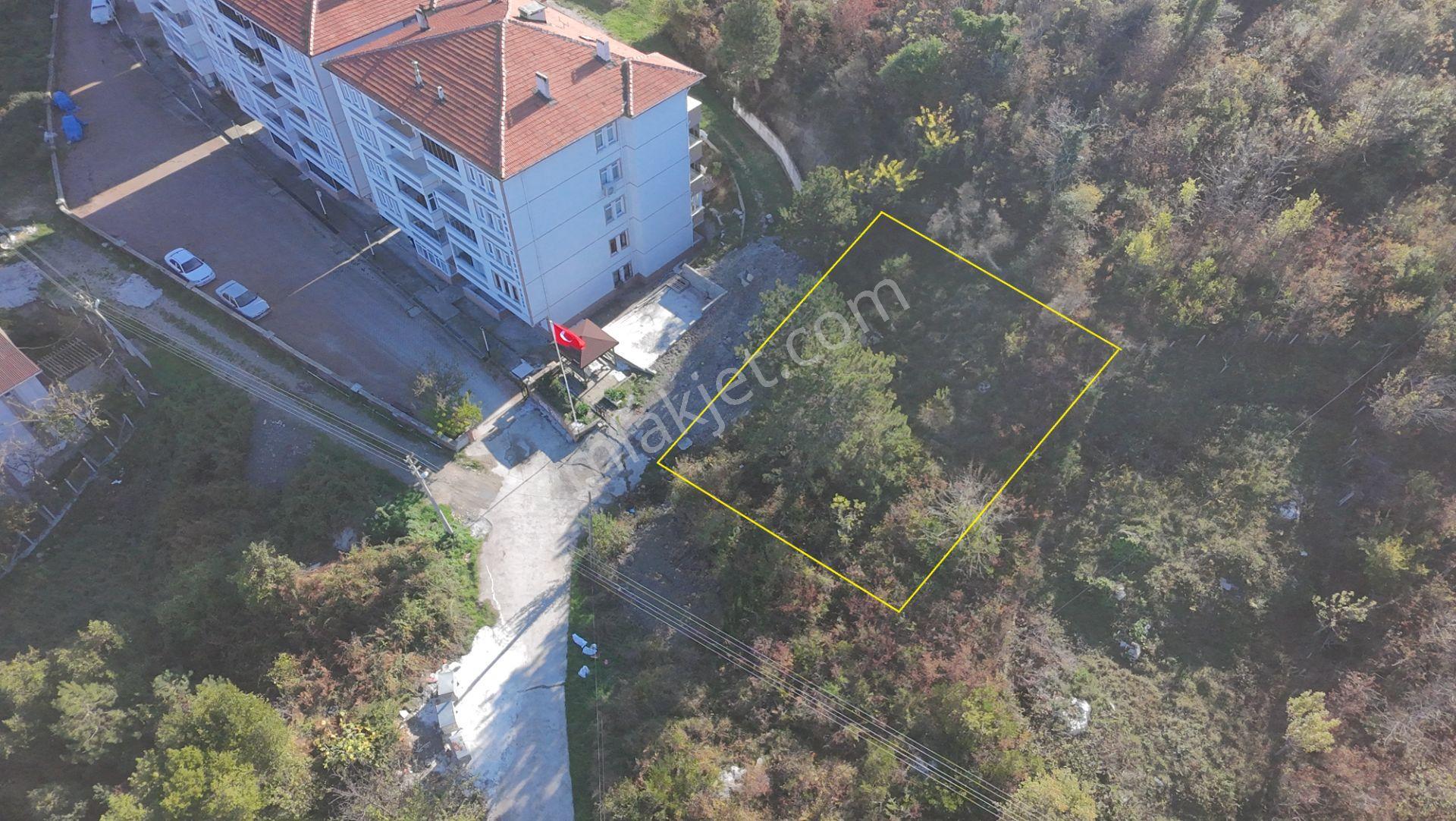 Kastamonu Cide Gebeş Mahallesinde Satılık 2 Kat İmarlı 386 Metre Kare Arsa - Görsel 2