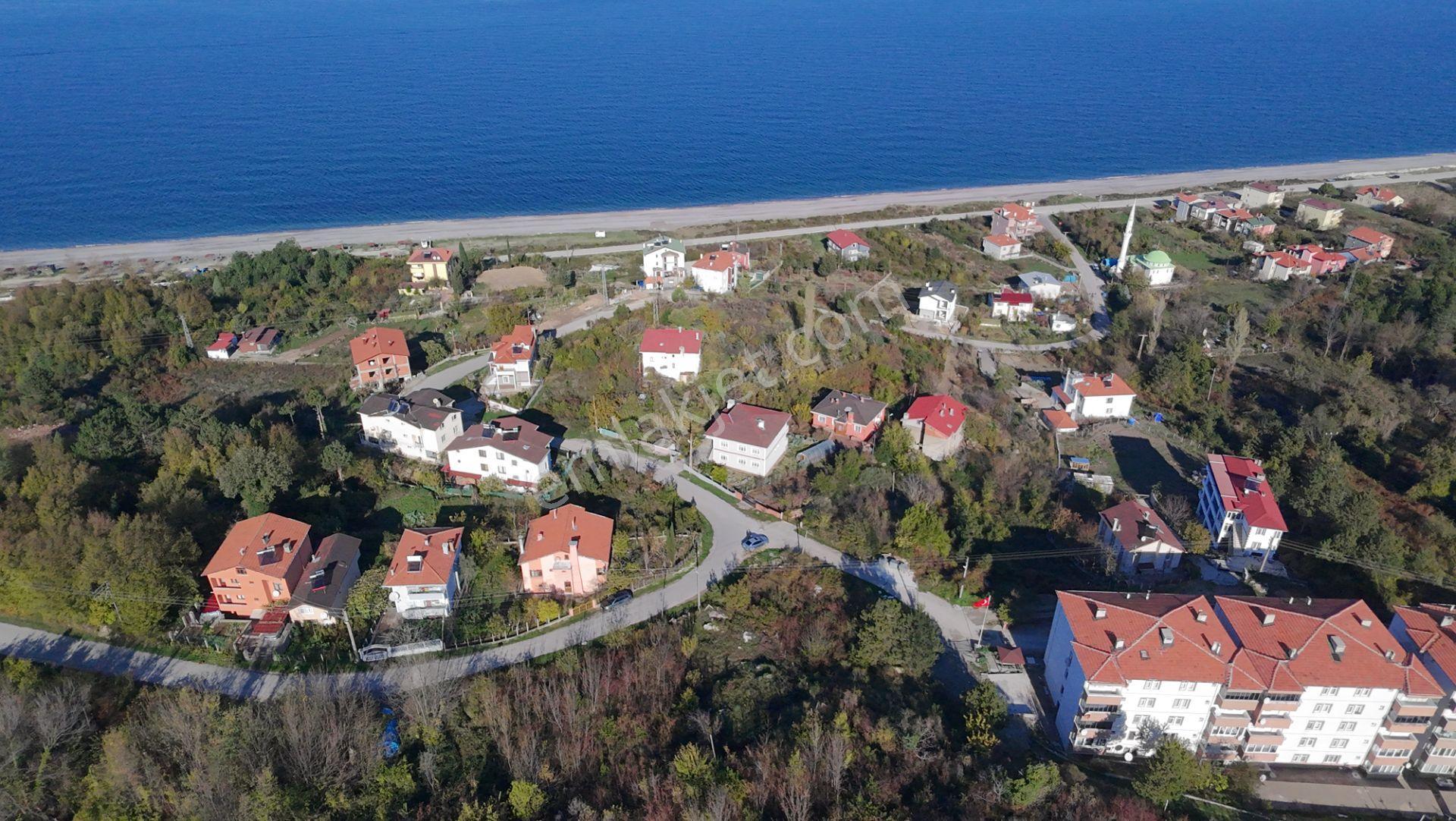 Kastamonu Cide Gebeş Mahallesinde Satılık 2 Kat İmarlı 386 Metre Kare Arsa - Görsel 4
