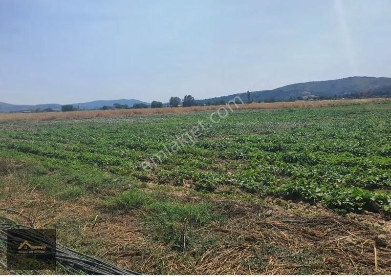 Milas Kuzyaka Köyiçinde 477 M² Satılık Hobi Bahçesi