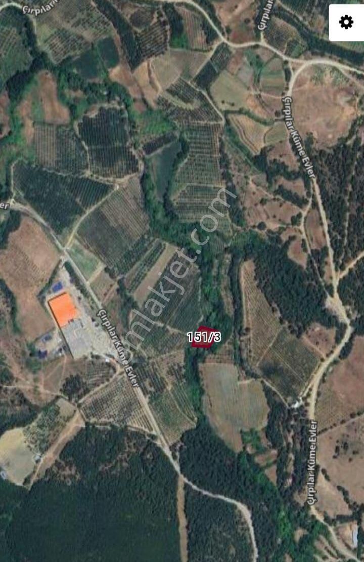 Çanakkale Bayramiç Cırpılar Köyünde - Görsel 9