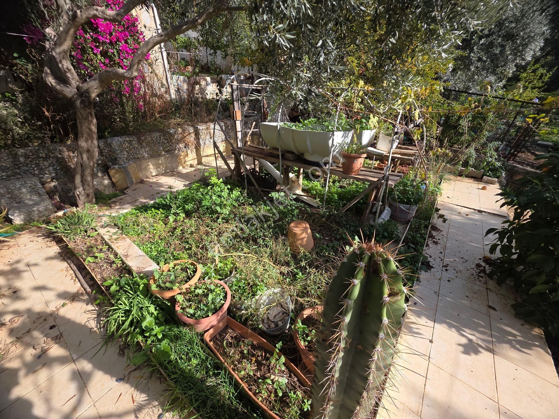 Didim Akbük'de Satılık Müstakil Bahçeli - Görsel 3