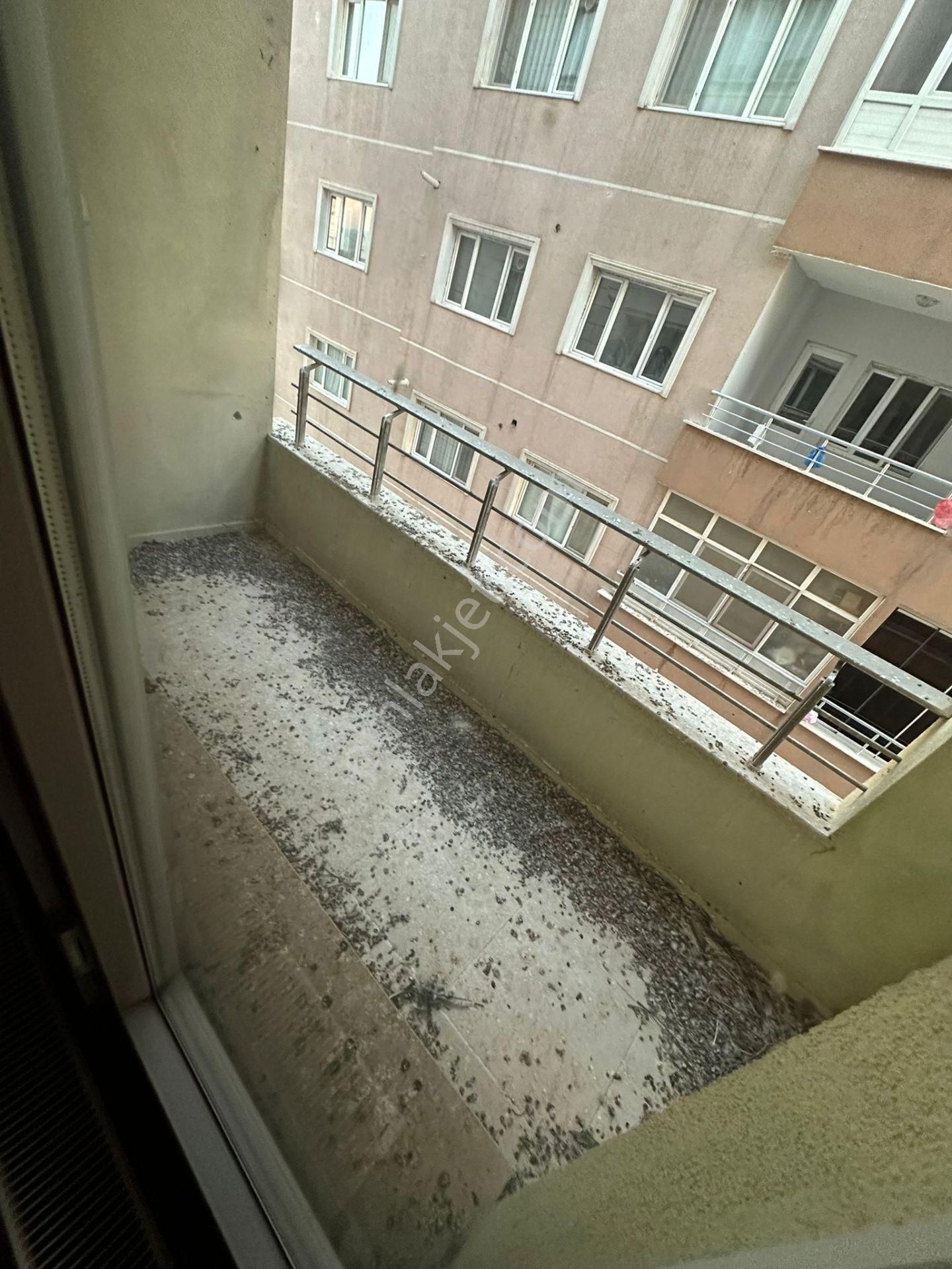 Mardin Yolunda Tanlar 7 De Eksiksiz Daire - Görsel 13