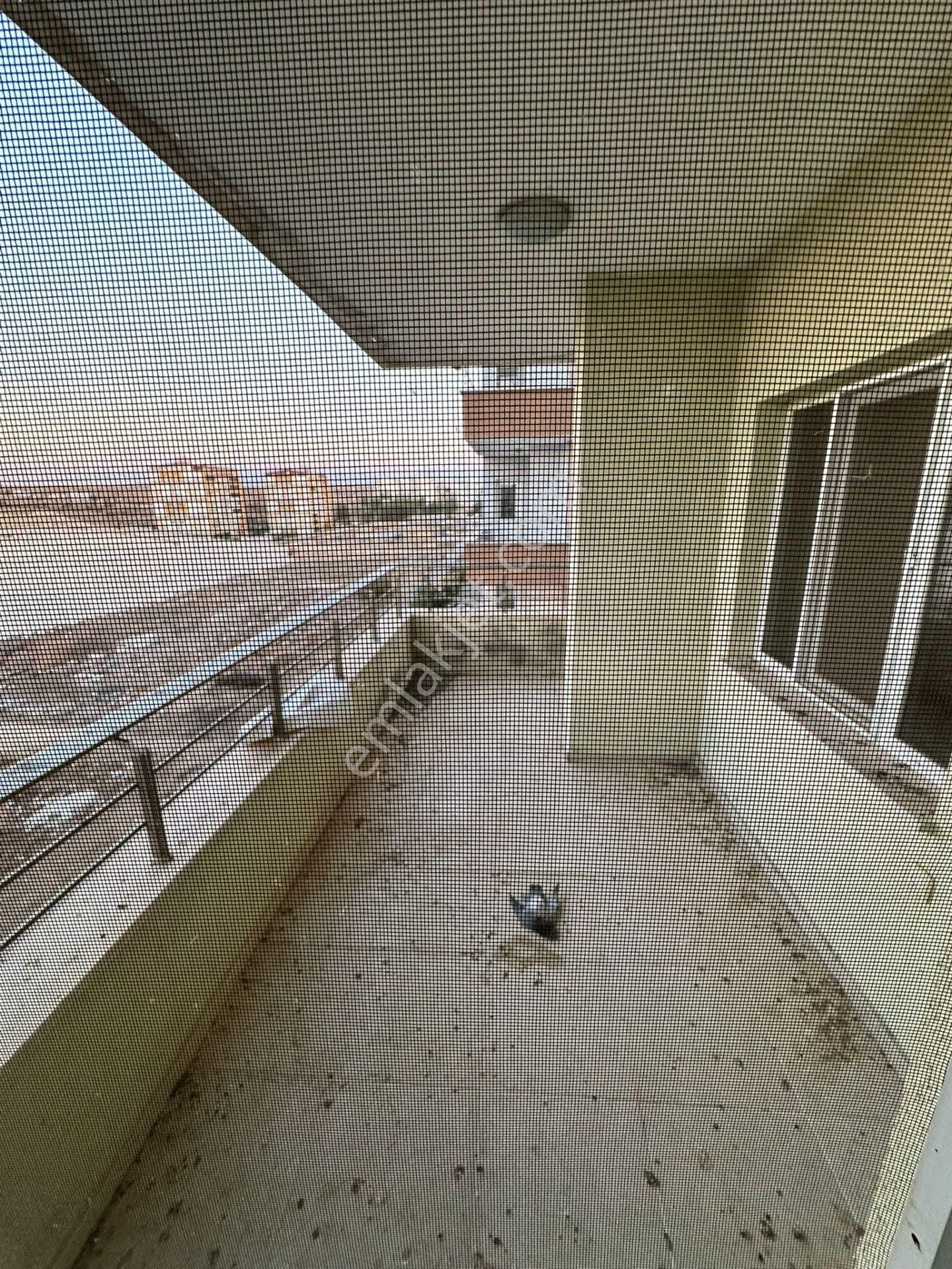 Mardin Yolunda Tanlar 7 De Eksiksiz Daire - Görsel 19