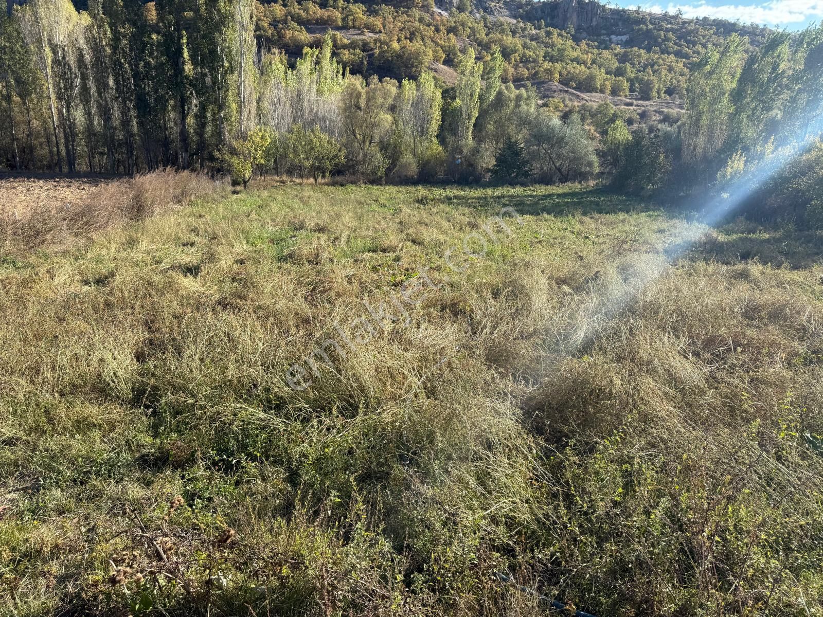 Erenkaya Bulumya Deresi Cepheli Kadastro Yolu Olan Bahçe