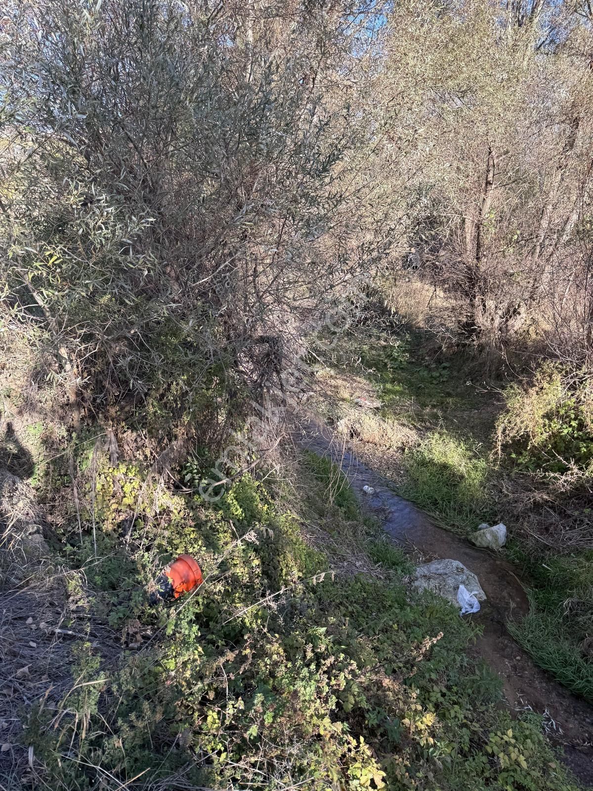 Erenkaya Bulumya Deresi Cepheli Kadastro Yolu Olan Bahçe - Görsel 8
