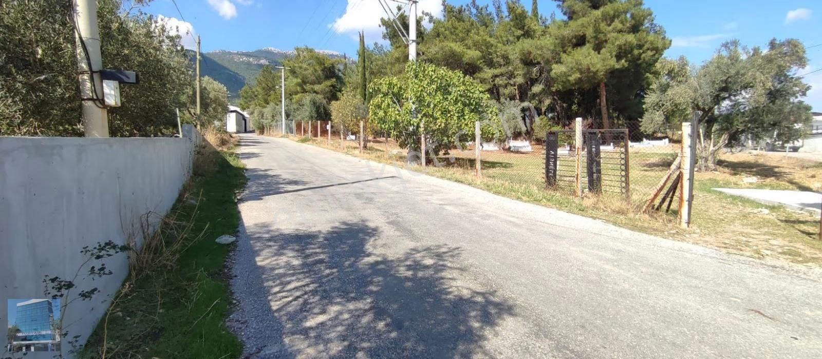 İzmir Kemalpaşa Vişneli'de Satılık Tarla