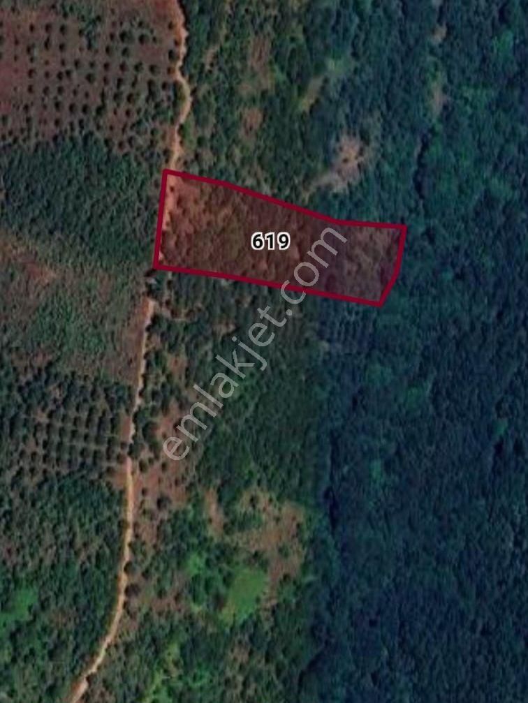 Çanakkale Çan Bozguçlar Köyünde Satılık Tarla - Görsel 2