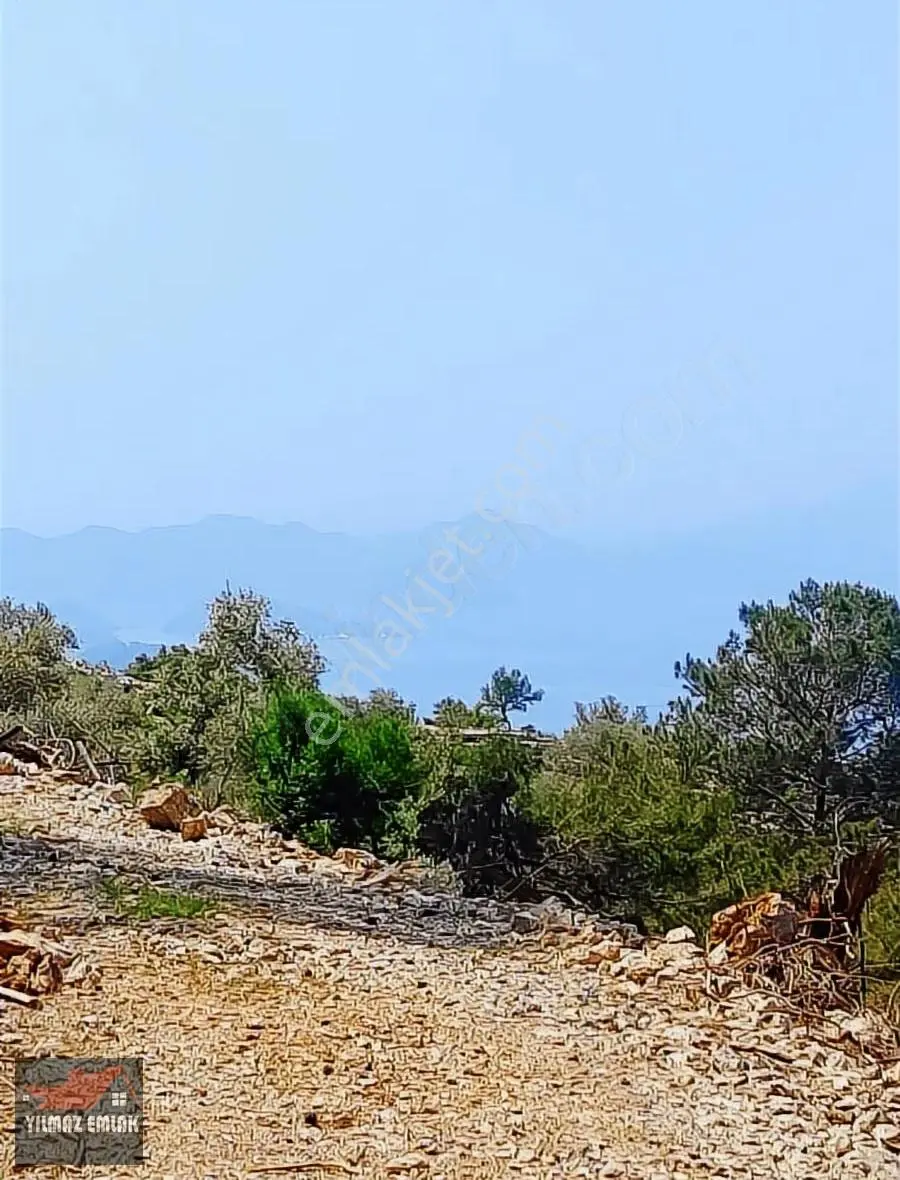 Fethiye Göcek Taşbaşında Müstakil Tarla - Görsel 3