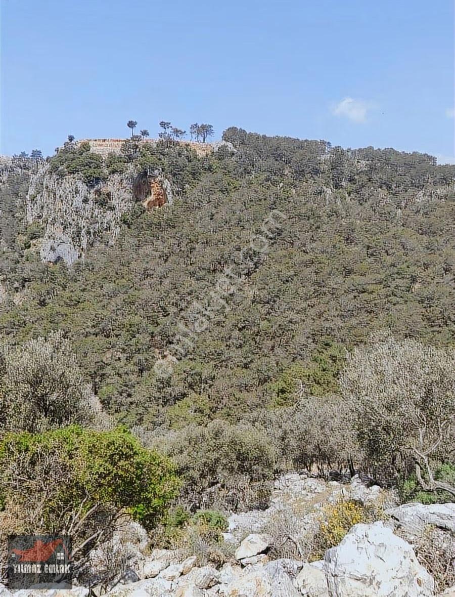 Fethiye Göcek Taşbaşında Müstakil Tarla - Görsel 7