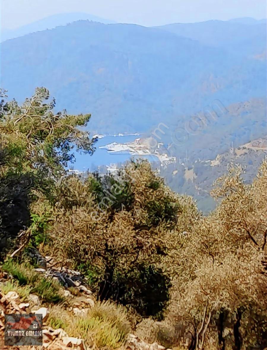 Fethiye Göcek Taşbaşında Müstakil Tarla - Görsel 5