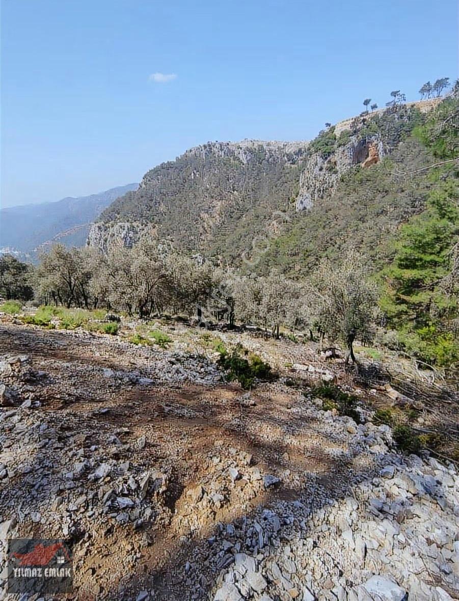 Fethiye Göcek Taşbaşında Müstakil Tarla - Görsel 11