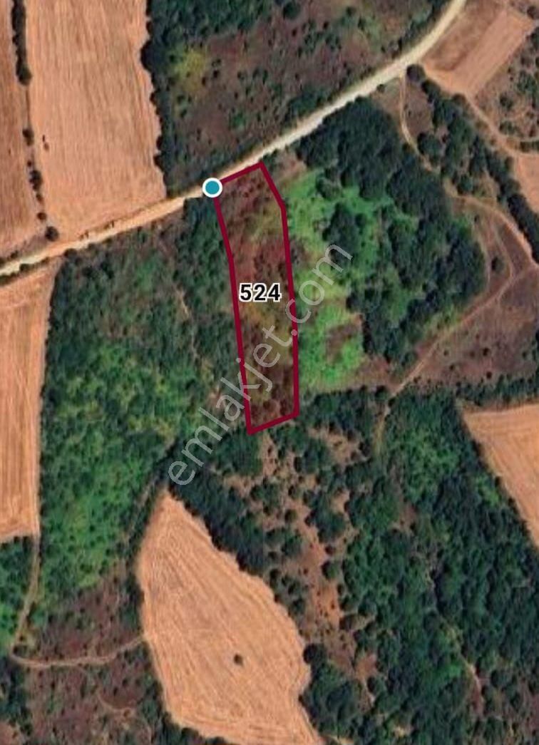 Çanakkale Çan Bozguçlar Köyünde Satılık Tarla - Görsel 2