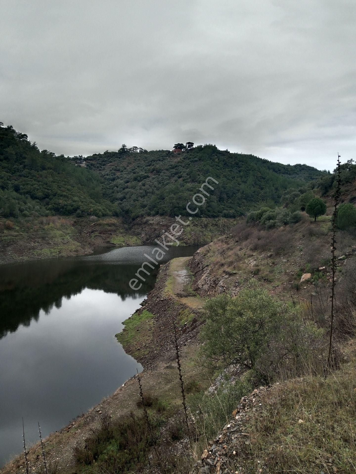 Sahibinden Tek Tapu Zeytinlik Bayindir Arıkbaşı - Görsel 8