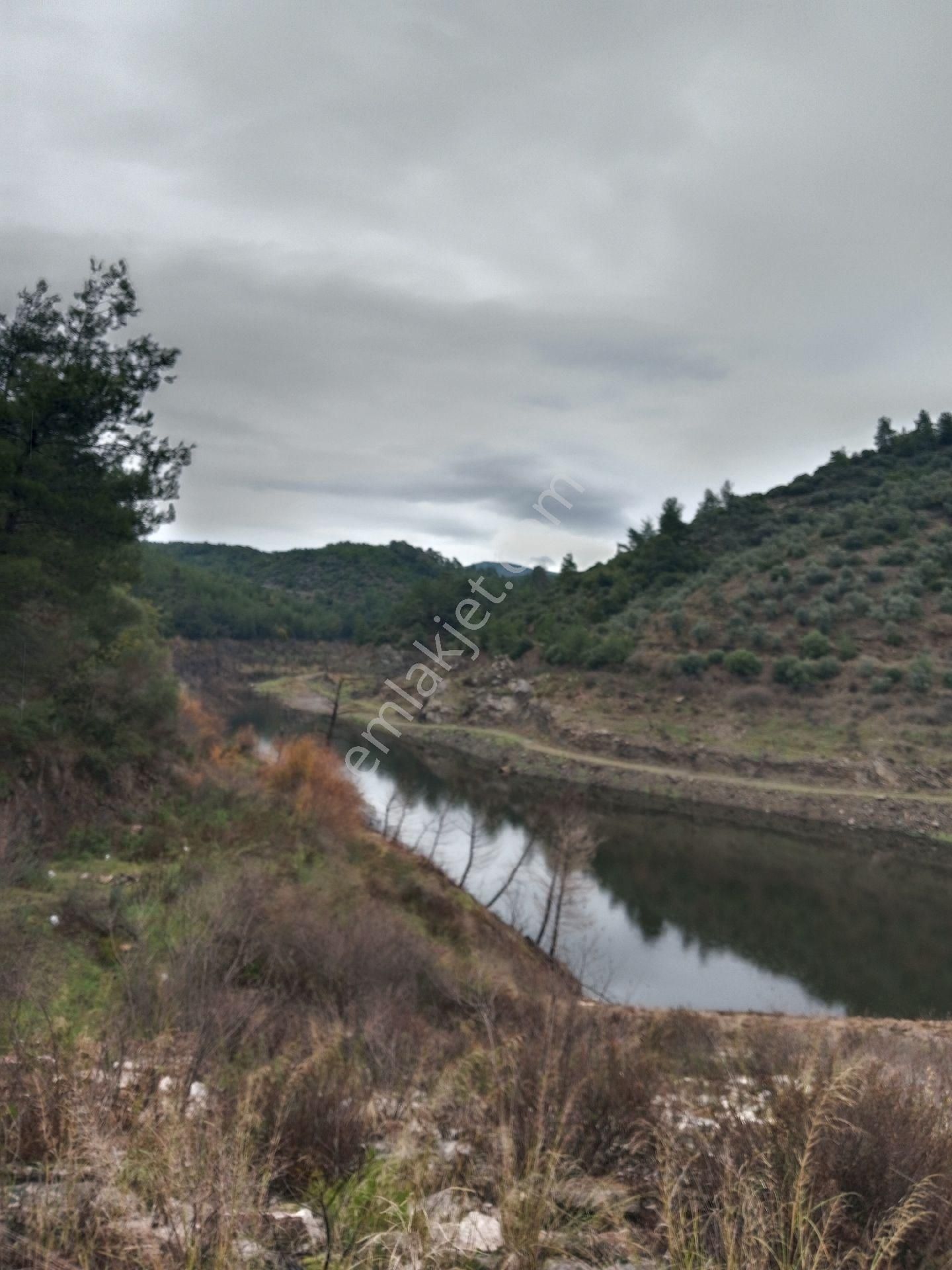 Sahibinden Tek Tapu Zeytinlik Bayindir Arıkbaşı - Görsel 14
