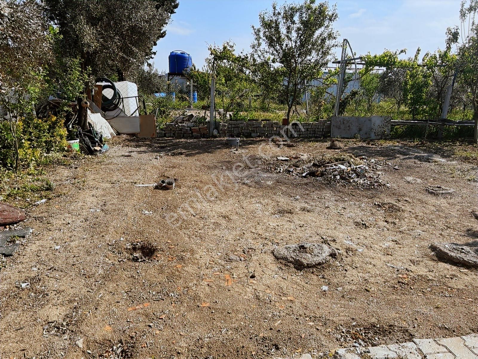 Değirmendere'de Ağaçları,çiçekleri.bahçesi Dikili Hobi Bahçesi - Görsel 3