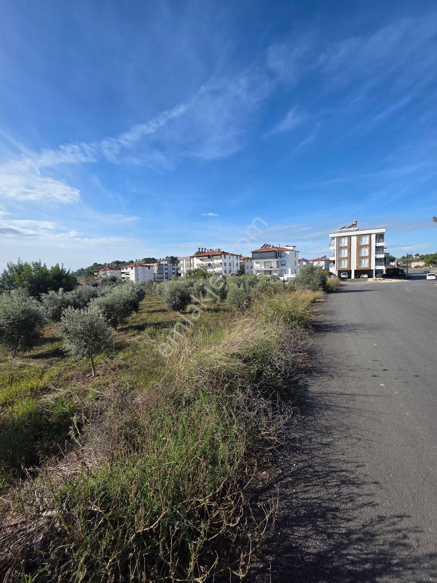 Manavgat Hatıplar Da Hisse Tapulu Yer - Görsel 4