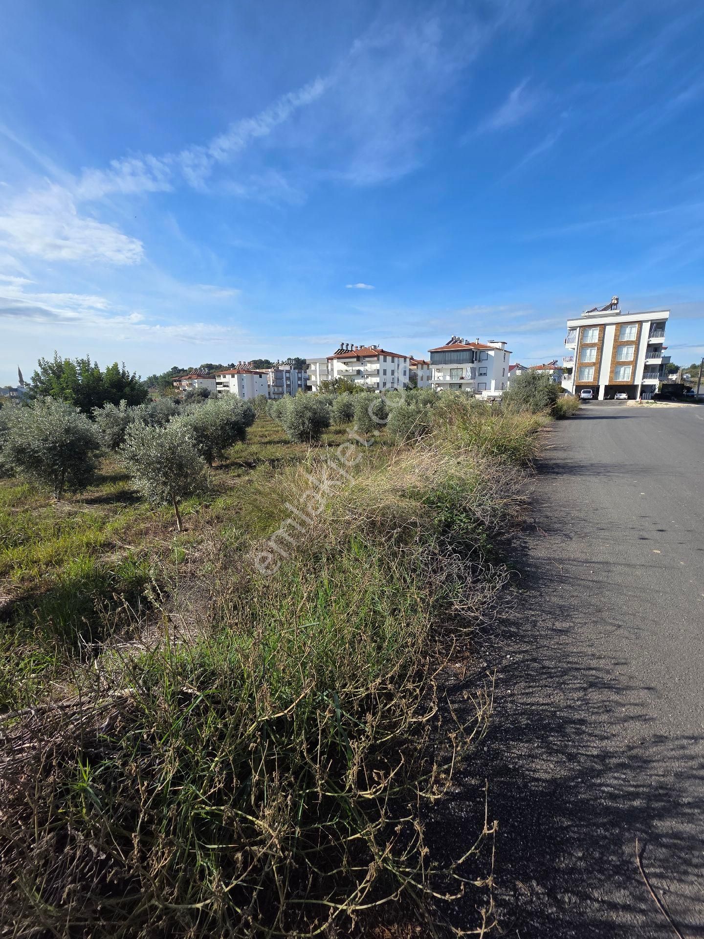 Manavgat Hatıplar Da Hisse Tapulu Yer - Görsel 3