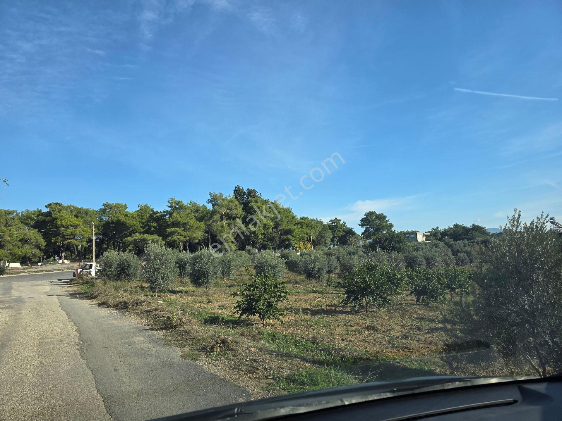 Manavgat Hatıplar Da Hisse Tapulu Yer - Görsel 7