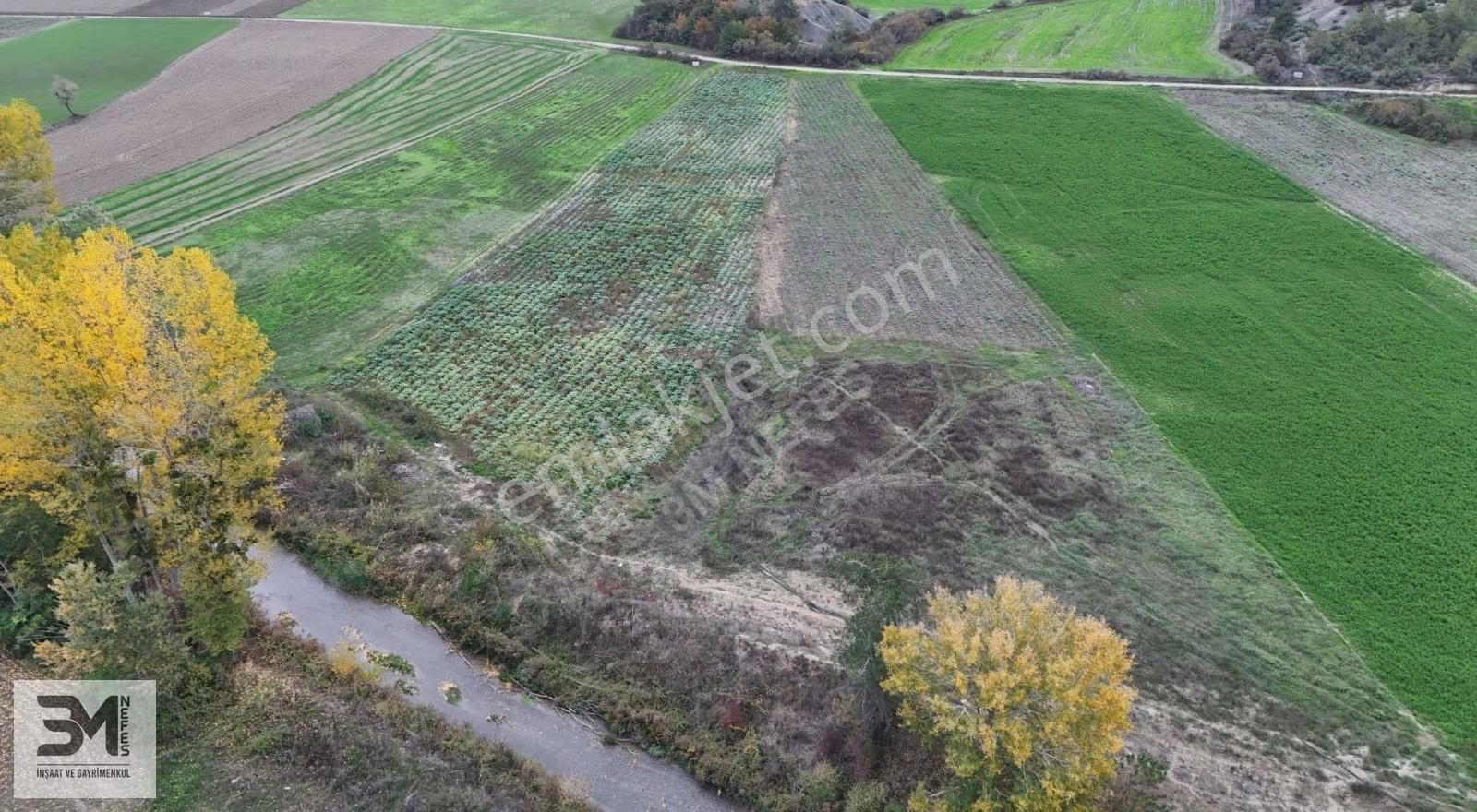 Sakarya Taraklı Yenidoğan Göynük Suyu Kenarı 6811m2 Uygun Fırsat - Görsel 9