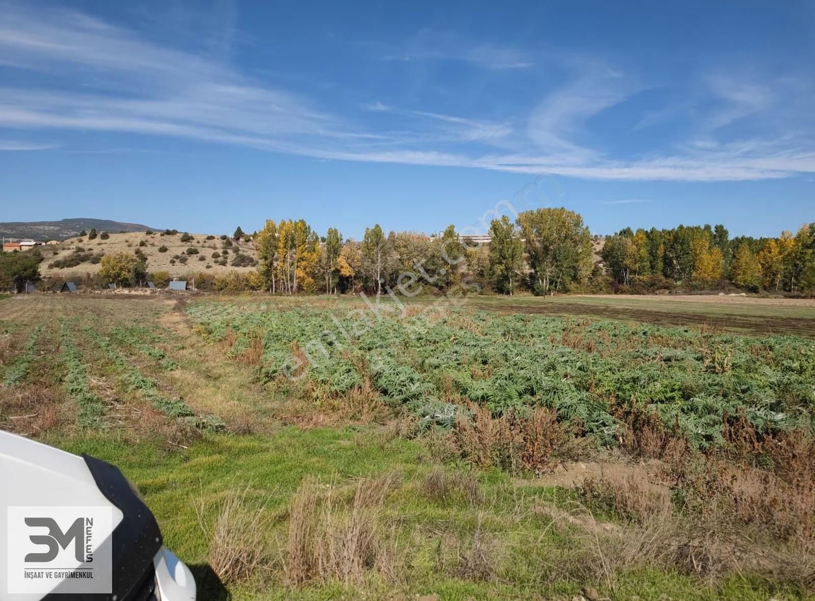 Sakarya Taraklı Yenidoğan Göynük Suyu Kenarı 6811m2 Uygun Fırsat - Görsel 35