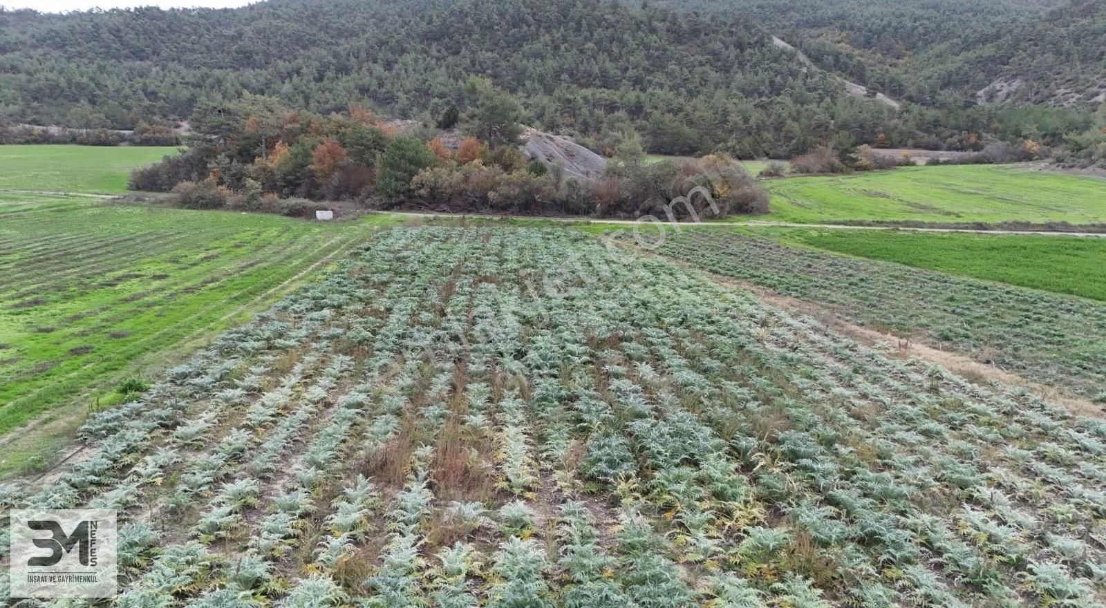 Sakarya Taraklı Yenidoğan Göynük Suyu Kenarı 6811m2 Uygun Fırsat - Görsel 26
