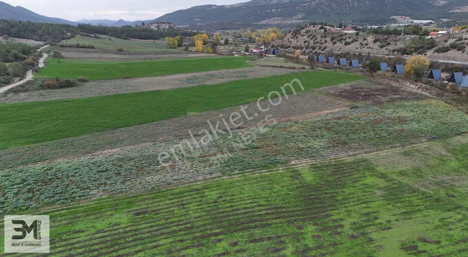 Sakarya Taraklı Yenidoğan Göynük Suyu Kenarı 6811m2 Uygun Fırsat - Görsel 10