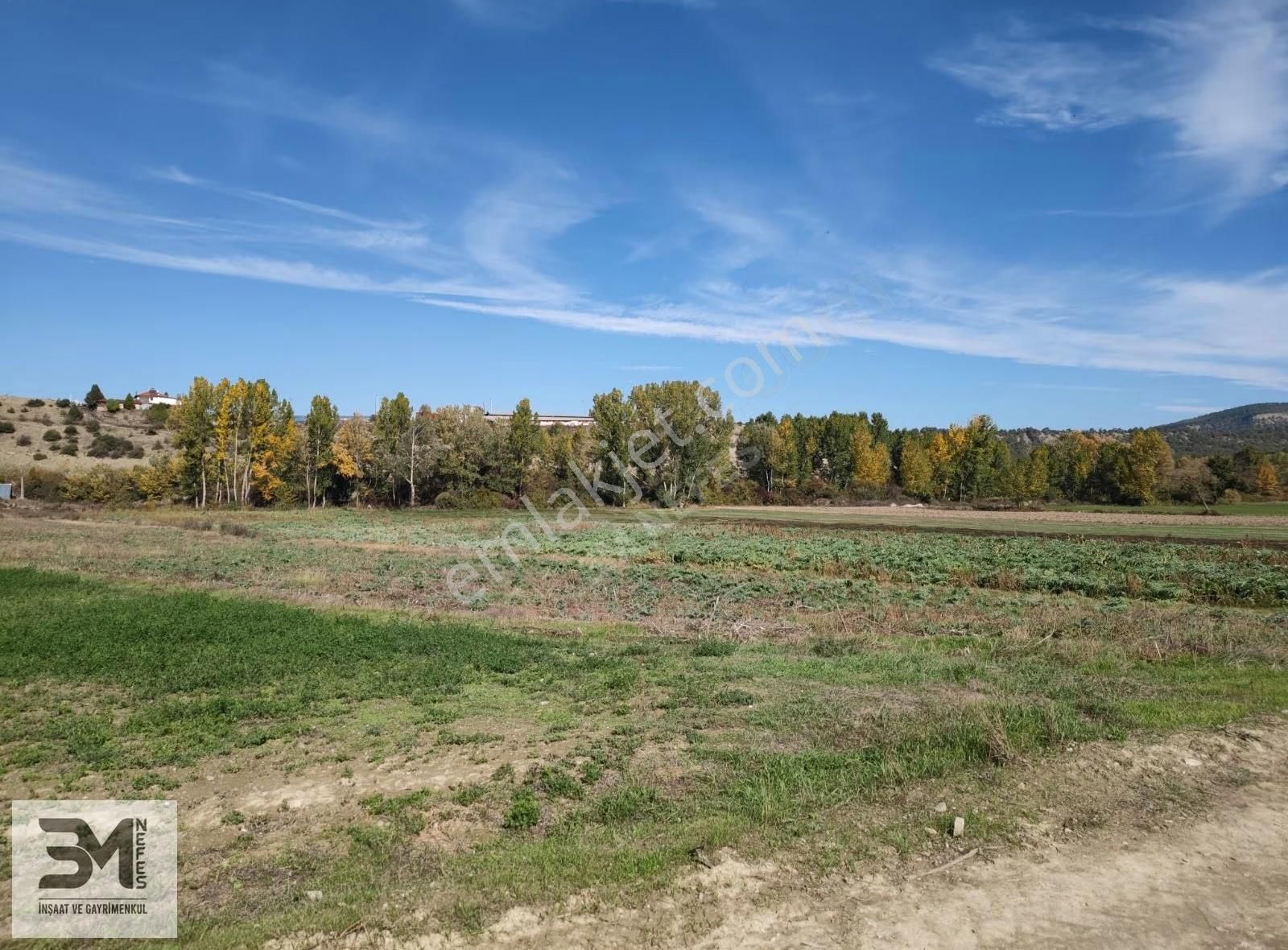 Sakarya Taraklı Yenidoğan Göynük Suyu Kenarı 6811m2 Uygun Fırsat - Görsel 16