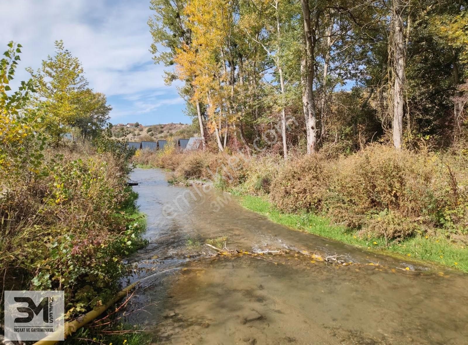 Sakarya Taraklı Yenidoğan Göynük Suyu Kenarı 6811m2 Uygun Fırsat - Görsel 3