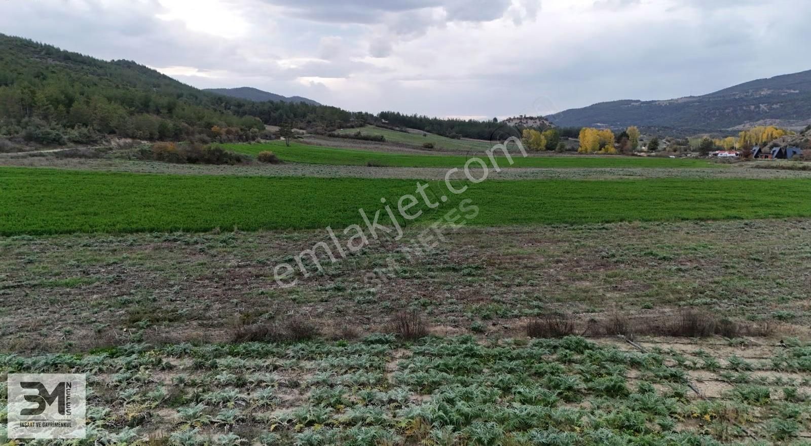 Sakarya Taraklı Yenidoğan Göynük Suyu Kenarı 6811m2 Uygun Fırsat - Görsel 14