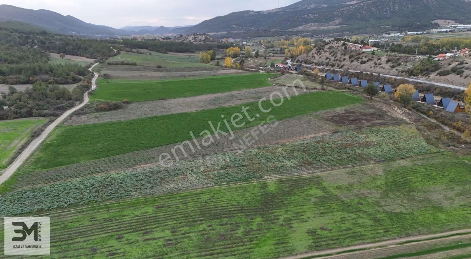 Sakarya Taraklı Yenidoğan Göynük Suyu Kenarı 6811m2 Uygun Fırsat - Görsel 31