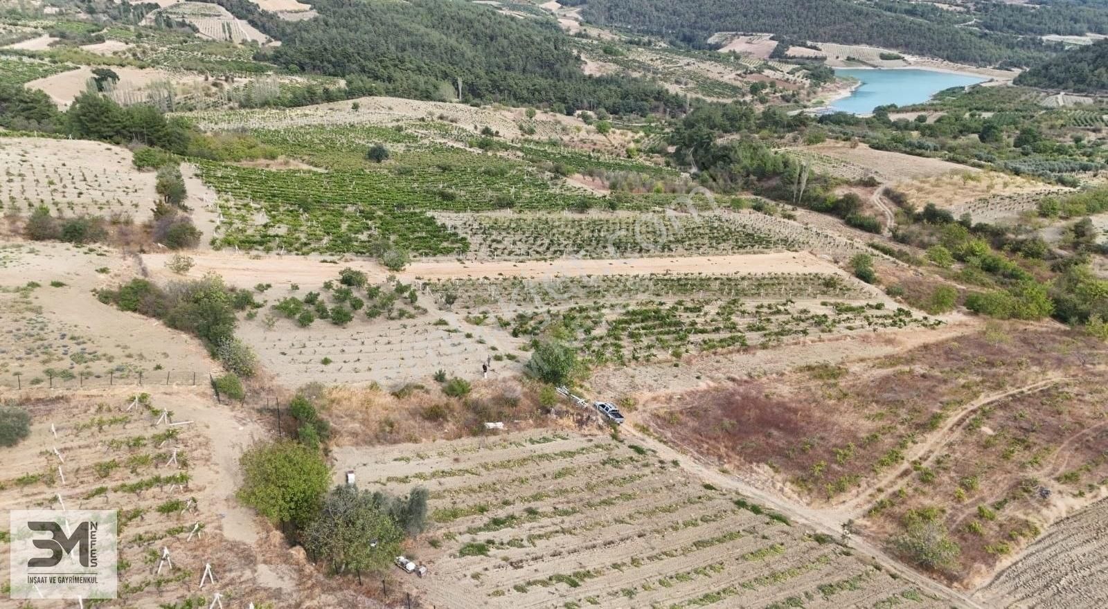 Acil Sakarya Geyve Sekiharman 195 M2 Göl Manzaralı Bağ Nitelik - Görsel 19