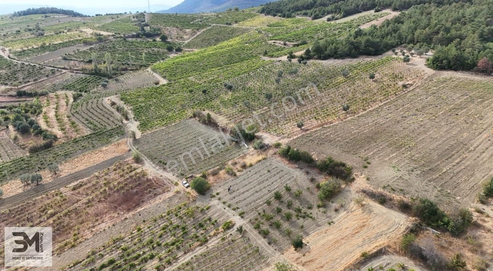 Acil Sakarya Geyve Sekiharman 195 M2 Göl Manzaralı Bağ Nitelik - Görsel 29