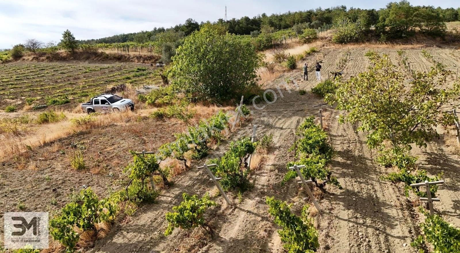 Acil Sakarya Geyve Sekiharman 195 M2 Göl Manzaralı Bağ Nitelik - Görsel 33