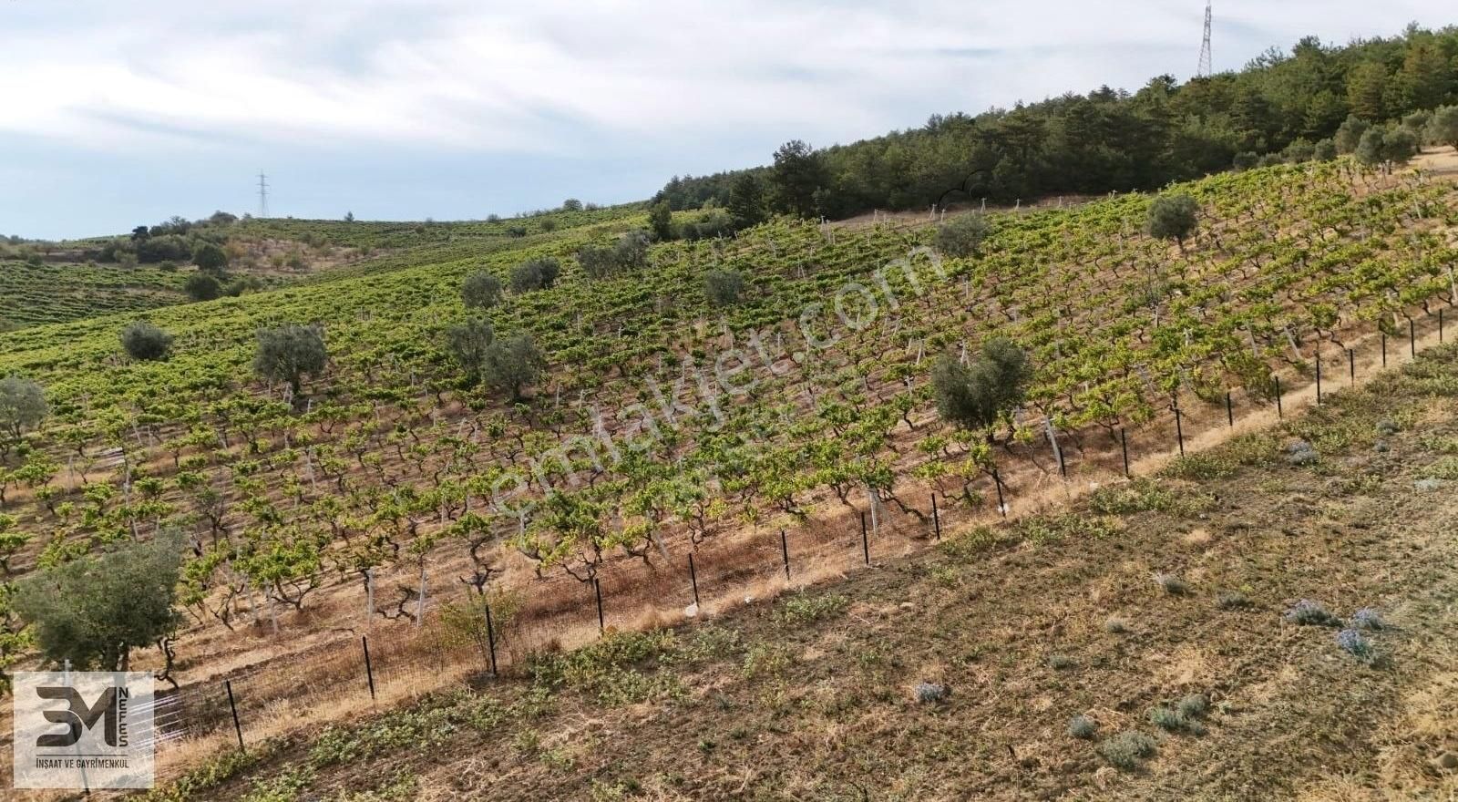 Acil Sakarya Geyve Sekiharman 195 M2 Göl Manzaralı Bağ Nitelik - Görsel 8