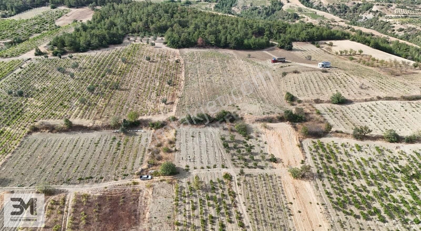 Acil Sakarya Geyve Sekiharman 195 M2 Göl Manzaralı Bağ Nitelik - Görsel 6