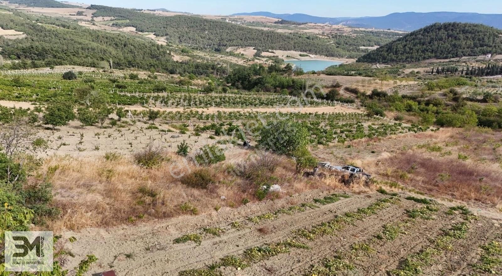 Acil Sakarya Geyve Sekiharman 195 M2 Göl Manzaralı Bağ Nitelik - Görsel 23