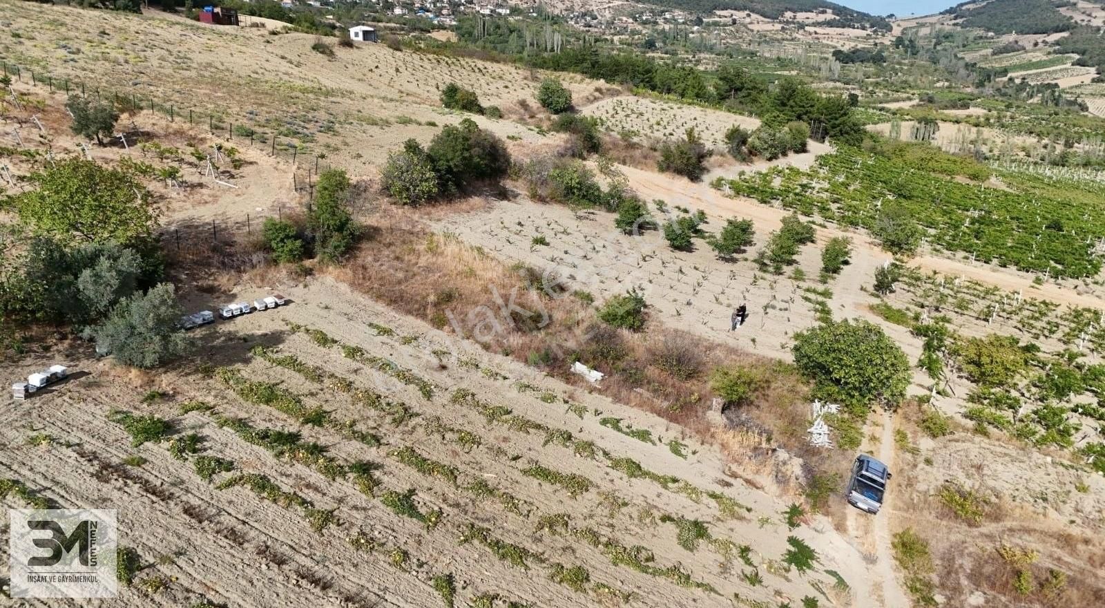 Acil Sakarya Geyve Sekiharman 195 M2 Göl Manzaralı Bağ Nitelik - Görsel 7