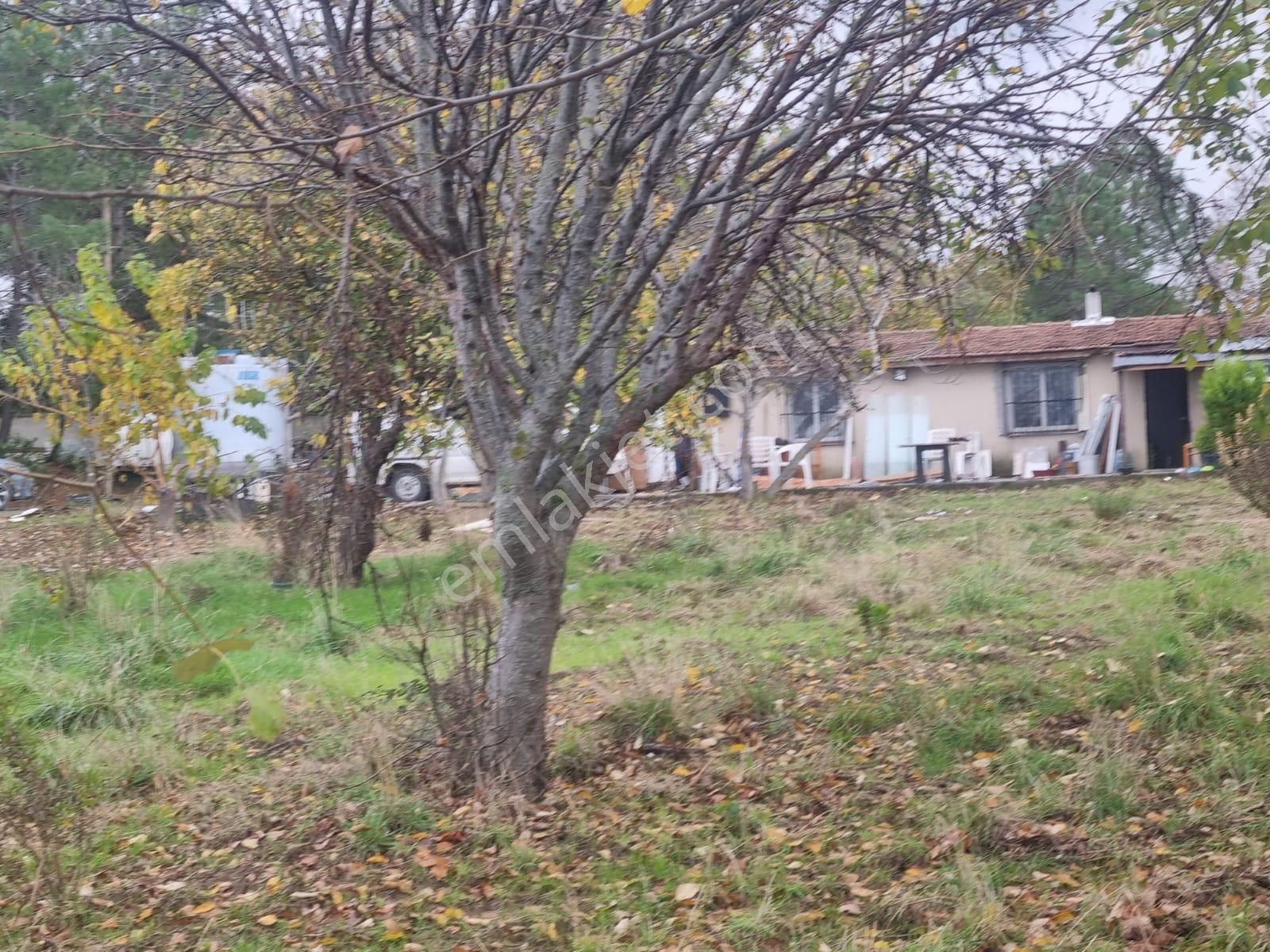 Sarıyer Kilyos (kumköy) 6040 M2 Müstakil Tapu Villa İmarlı Arsa - Görsel 15