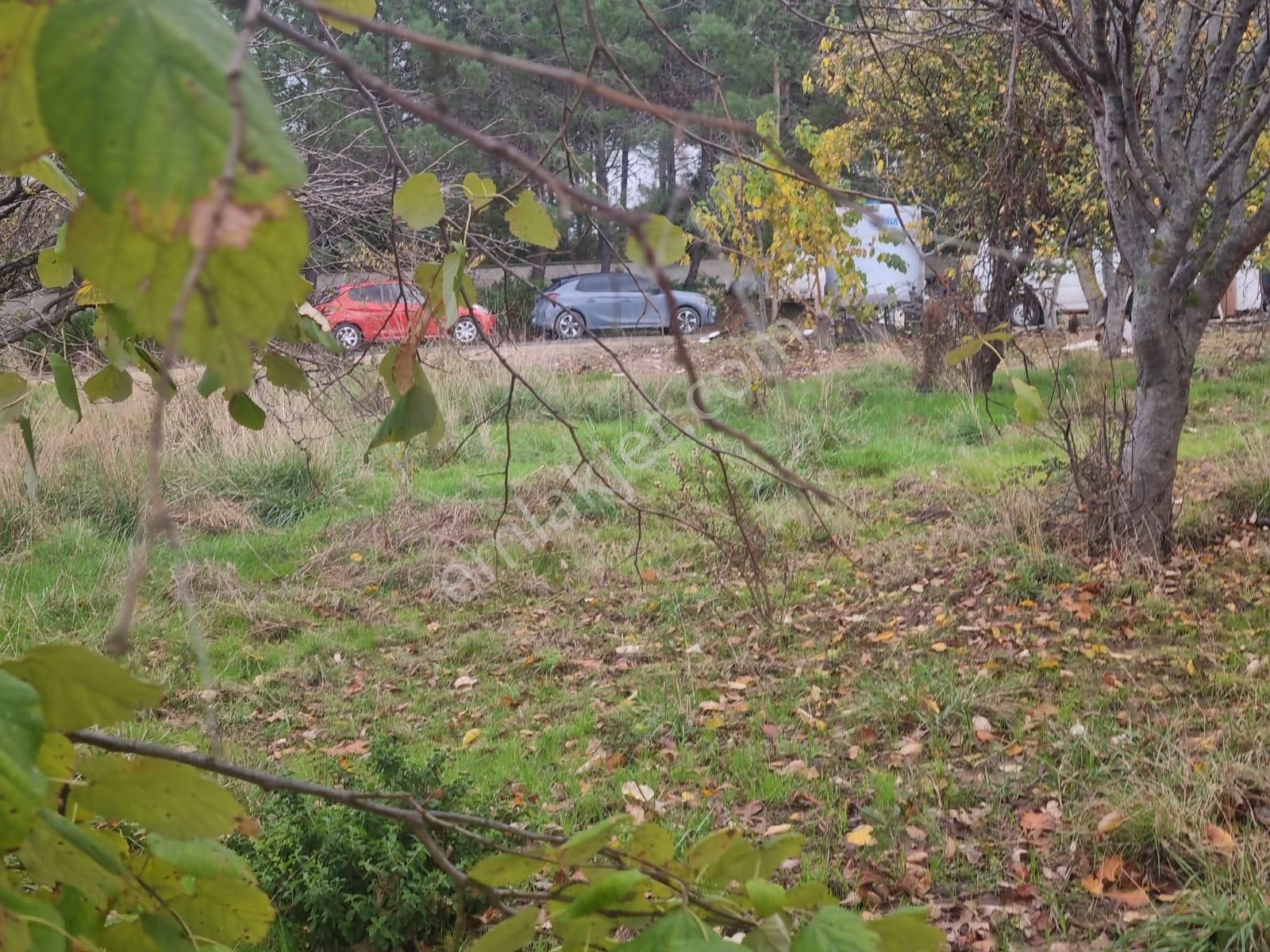 Sarıyer Kilyos (kumköy) 6040 M2 Müstakil Tapu Villa İmarlı Arsa - Görsel 19