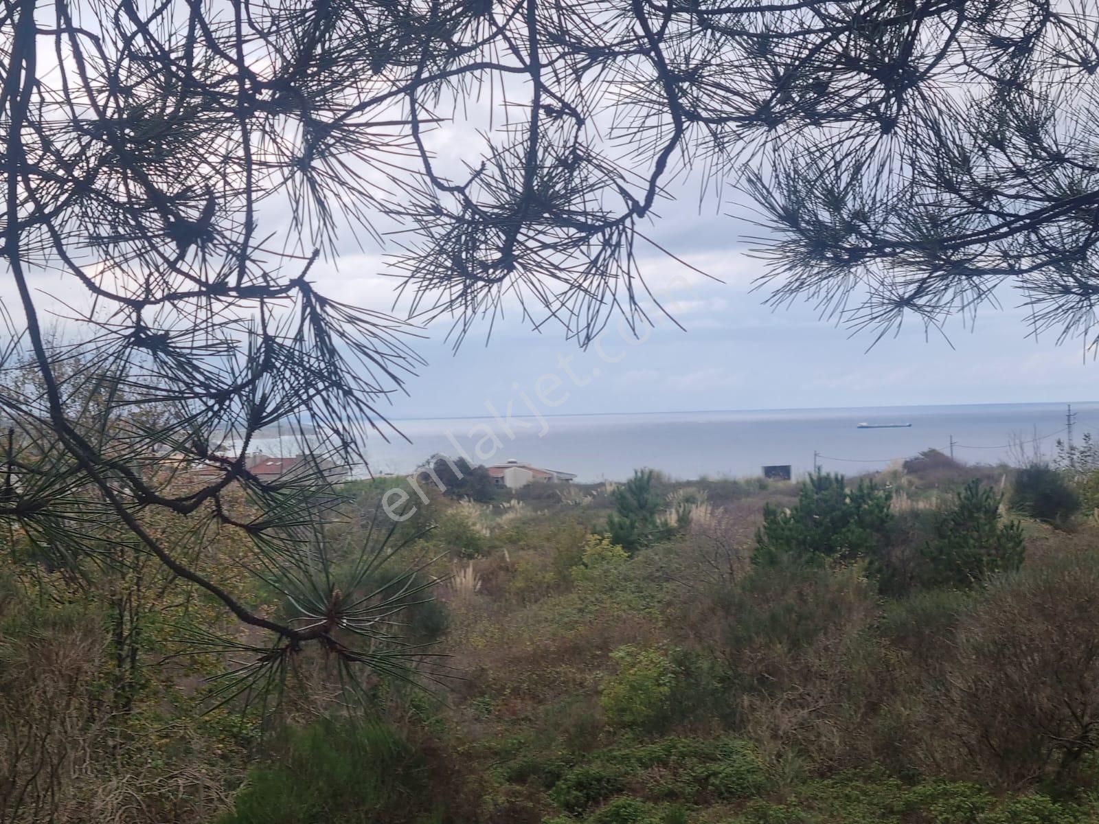 Sarıyer Kilyos (kumköy) 6040 M2 Müstakil Tapu Villa İmarlı Arsa - Görsel 14