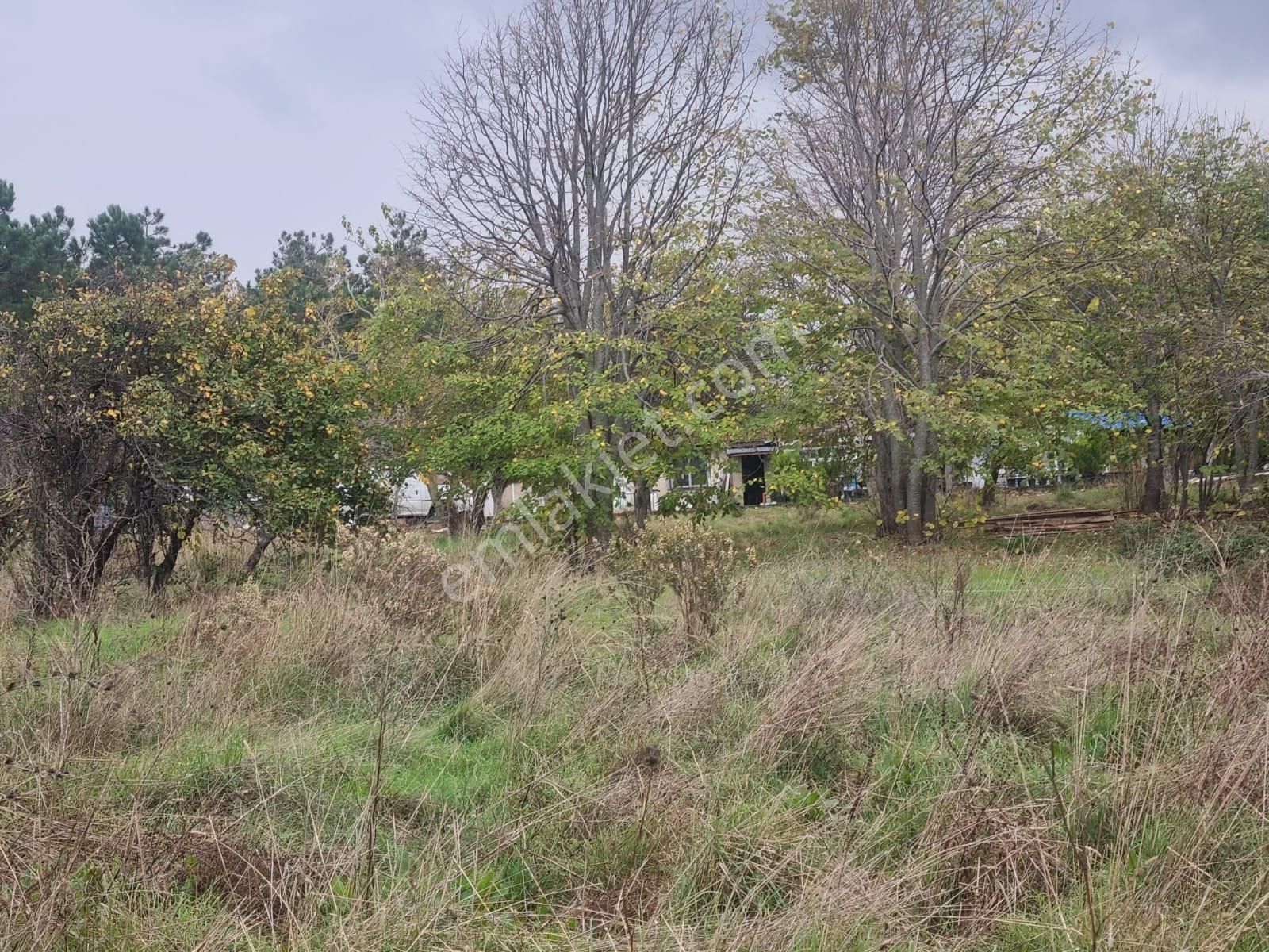 Sarıyer Kilyos (kumköy) 6040 M2 Müstakil Tapu Villa İmarlı Arsa - Görsel 20