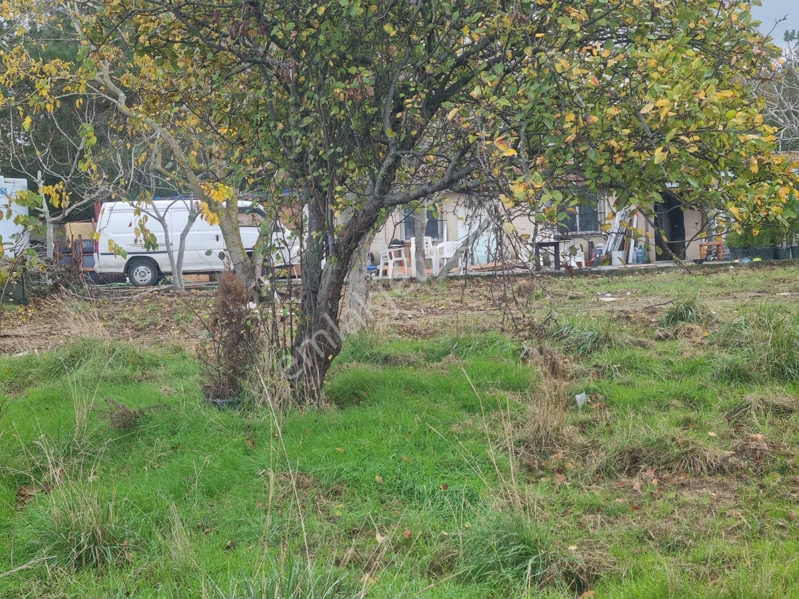 Sarıyer Kilyos (kumköy) 6040 M2 Müstakil Tapu Villa İmarlı Arsa - Görsel 3