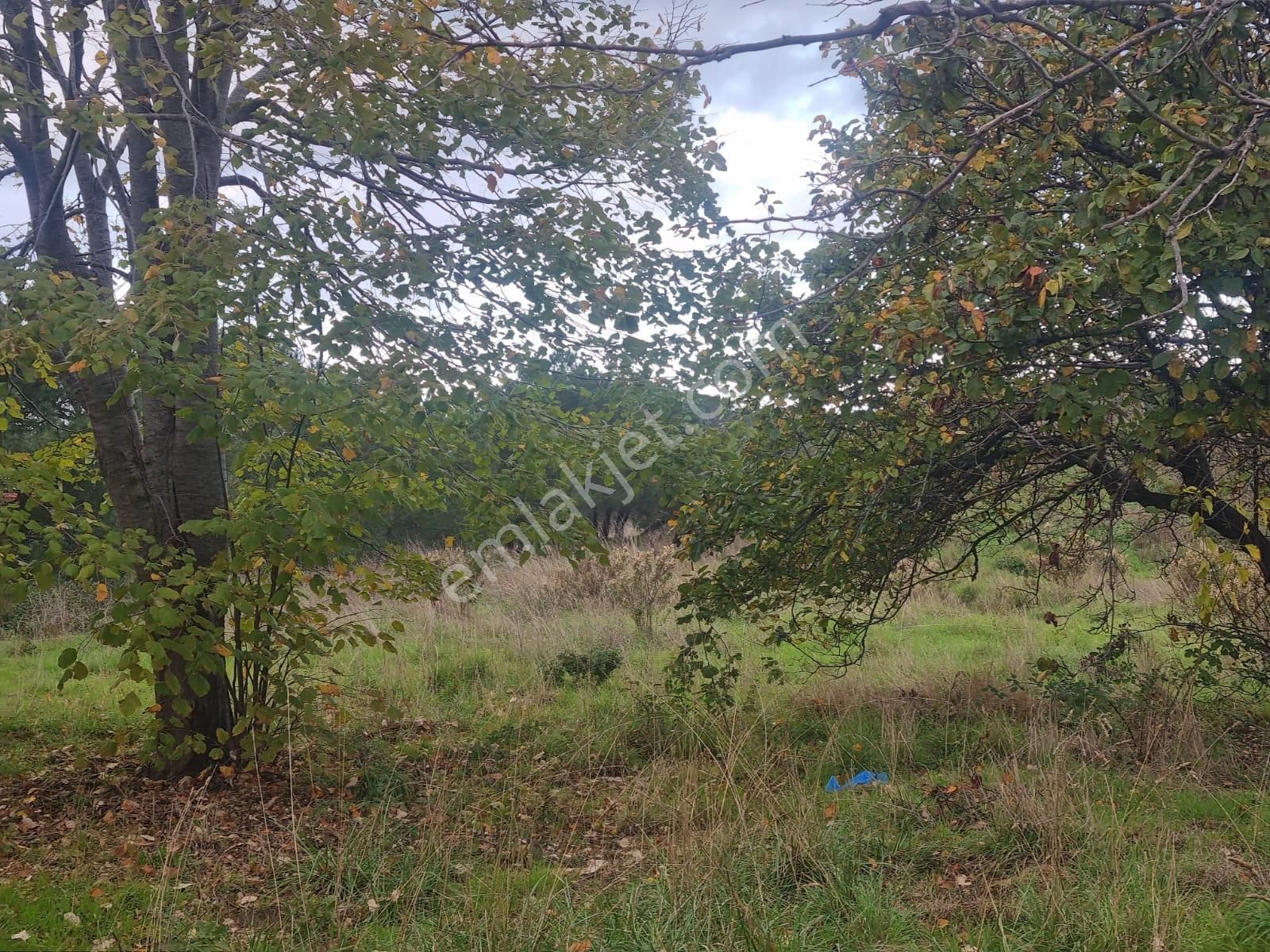 Sarıyer Kilyos (kumköy) 6040 M2 Müstakil Tapu Villa İmarlı Arsa - Görsel 27