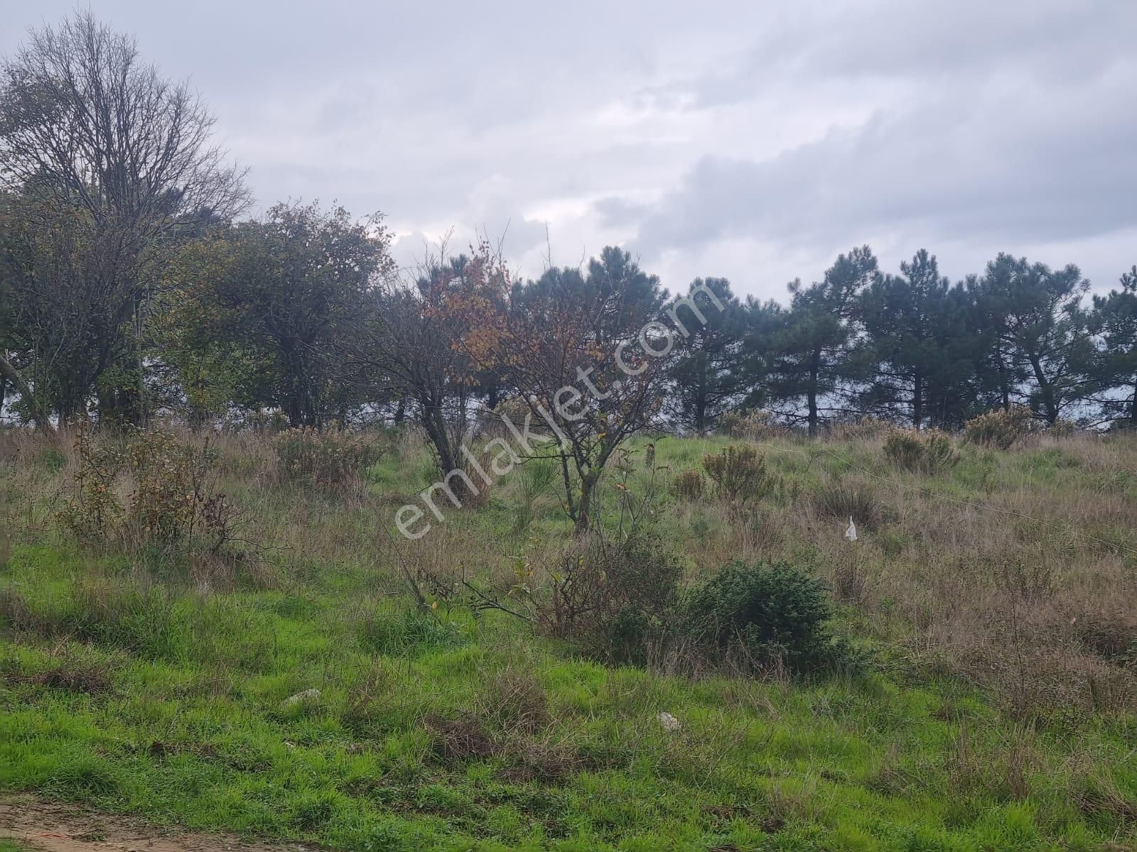 Sarıyer Kilyos (kumköy) 6040 M2 Müstakil Tapu Villa İmarlı Arsa - Görsel 4